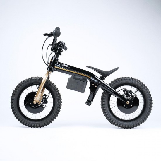 Bicicleta Electrica pentru copii ROX 12" with motor