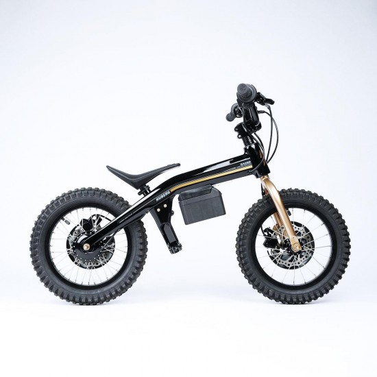 Bicicleta Electrica pentru copii ROX 12" with motor