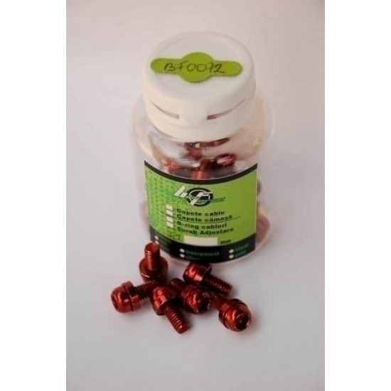 Surub cu cap imbus M6x13 20 bucati rosu