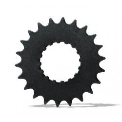 Pinion Bosch e-bike 20T BDU2XX