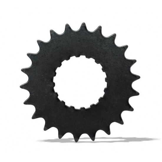 Pinion Bosch e-bike 20T BDU2XX
