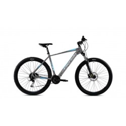 Bicicleta Capriolo Level 9.3 29 grey blue 21