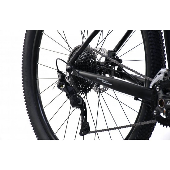 Bicicleta Capriolo 29 AL-PHA 9.5 black 15.5 aluminiu S