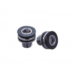 Suruburi angrenaj FSA ML055 Standard M 12 2 buc