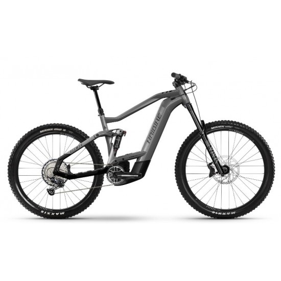 e-bike Haibike ALLMTN 5 12-G NX Eagle i750Wh 2023/2024 GL platinum black S