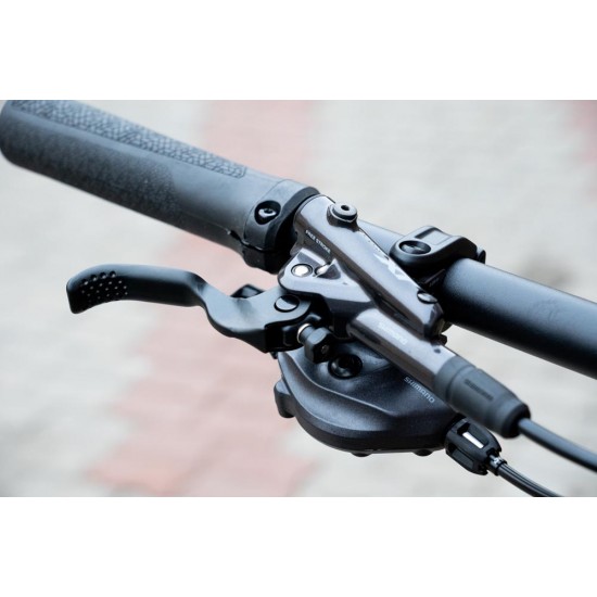 e-bike Haibike LYKE CF 11 12-G XT i430Wh 2024 GL carbon sand M e-bike Haibike LYKE CF 11 12-G XT i430Wh 2024 GL carbon sand M
