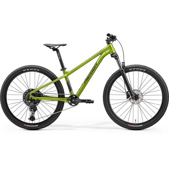 MERIDA MATTS J.CHAMPION VERDETOAMNĂ (NEGRU/GRIARMĂ)