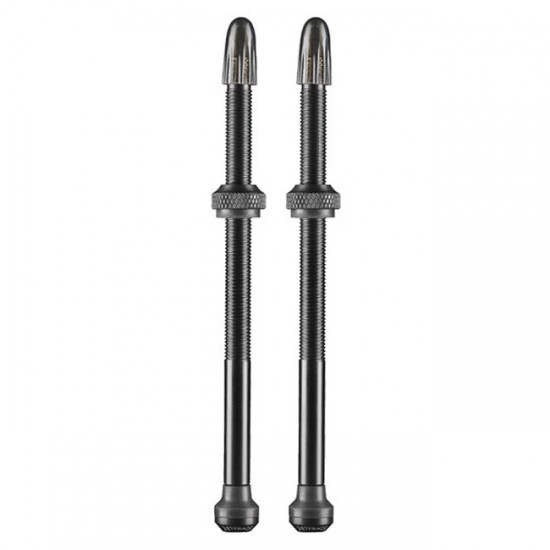 Ventil SCHWALBE Tubeless (Set) 100mm