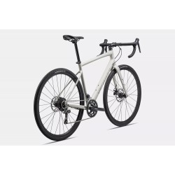 Bicicleta SPECIALIZED Diverge E5 - Gloss Birch/White Mountains 58