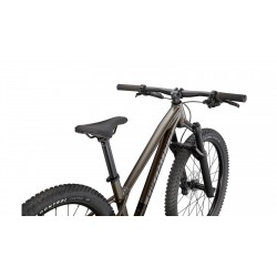Bicicleta copii mtb SPECIALIZED Riprock Expert 24 - Smk | 9-12 ani